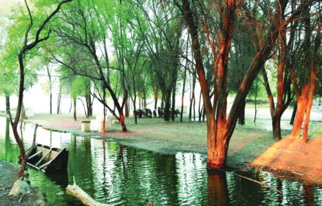 Al Dosari Zoo and Game Reserve
