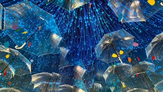 Museum of Illusions